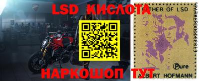 гидропоника Кулебаки