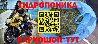 гидропоника Кулебаки