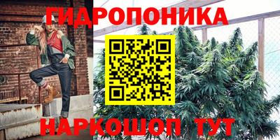 гидропоника Кулебаки